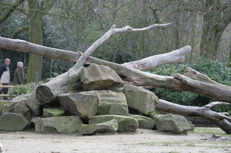 Fotoclubje Blijdorp 2008-39.jpg